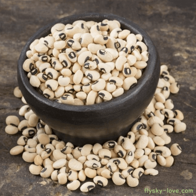 다이어트에 효과적인 동부콩(Black eyed peas)