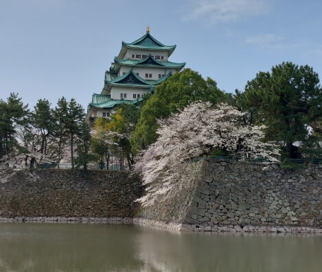 나고야 벚꽃 명소