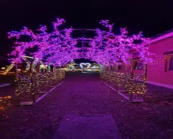 고니골 빛 축제_4