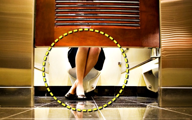 외국 화장실 아래 뚫려 있는 이유,팁줌