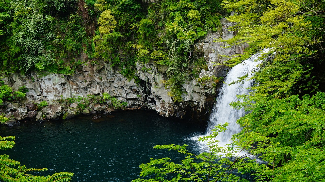 물이 쏟아져내리는 천제연 폭포