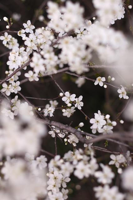 화담숲 홈페이지 예약