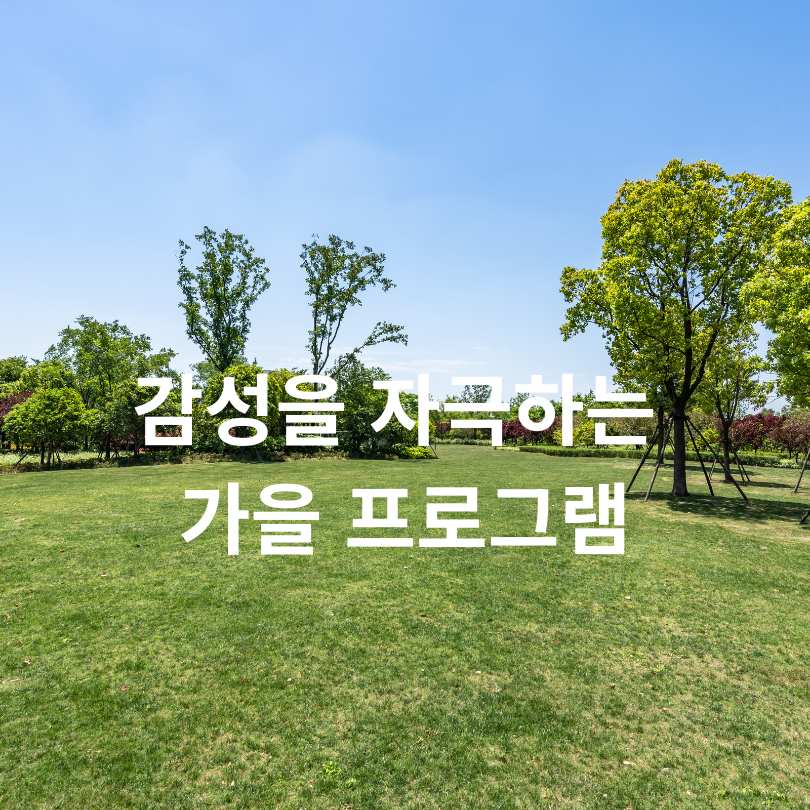 2025 서울국제정원박람회&amp;#44; 보라매공원에서 즐기는 가을 축제