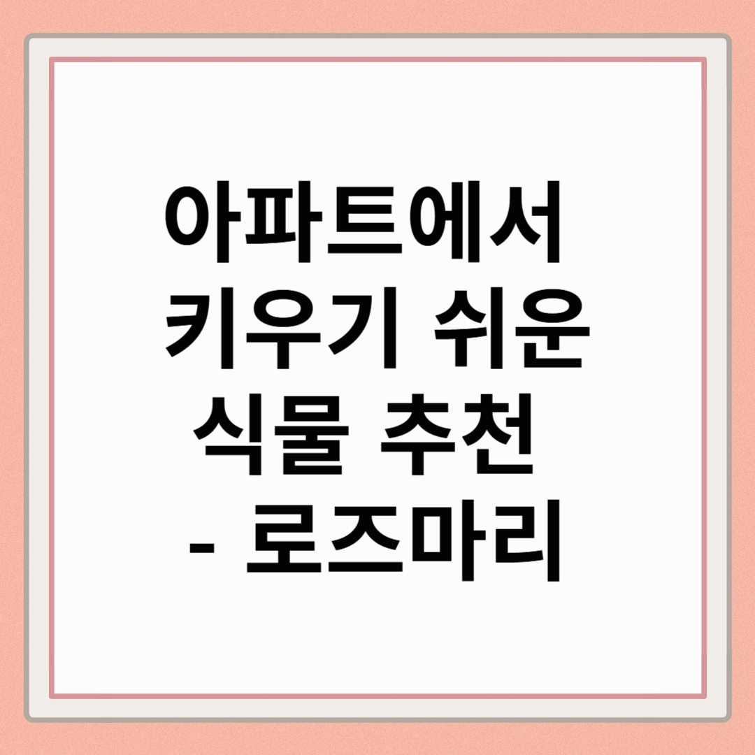 아파트에서 키우기 쉬운 식물 추천 : 로즈마리