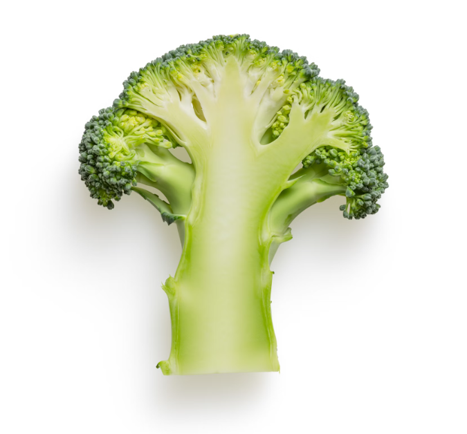 간에 좋은 음식 10