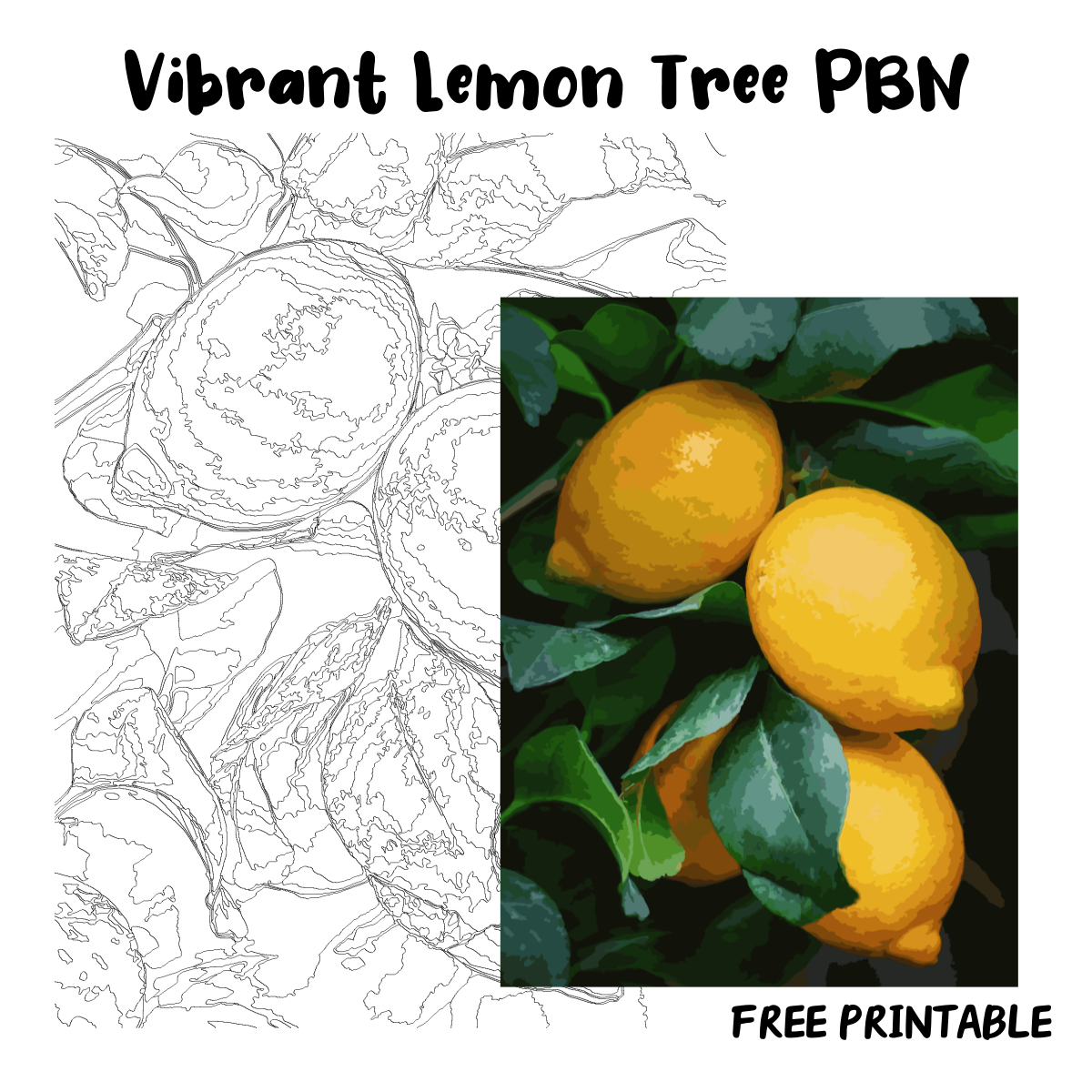 Vibrant Lemon Tree PBN : Free Coloring Template(48 Colors)