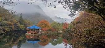 내장산 단풍터널 드라이브 코스 주차장 위치까지 총정리_12