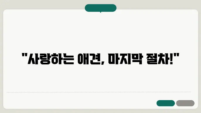 애견 사망 신고 필요 서류