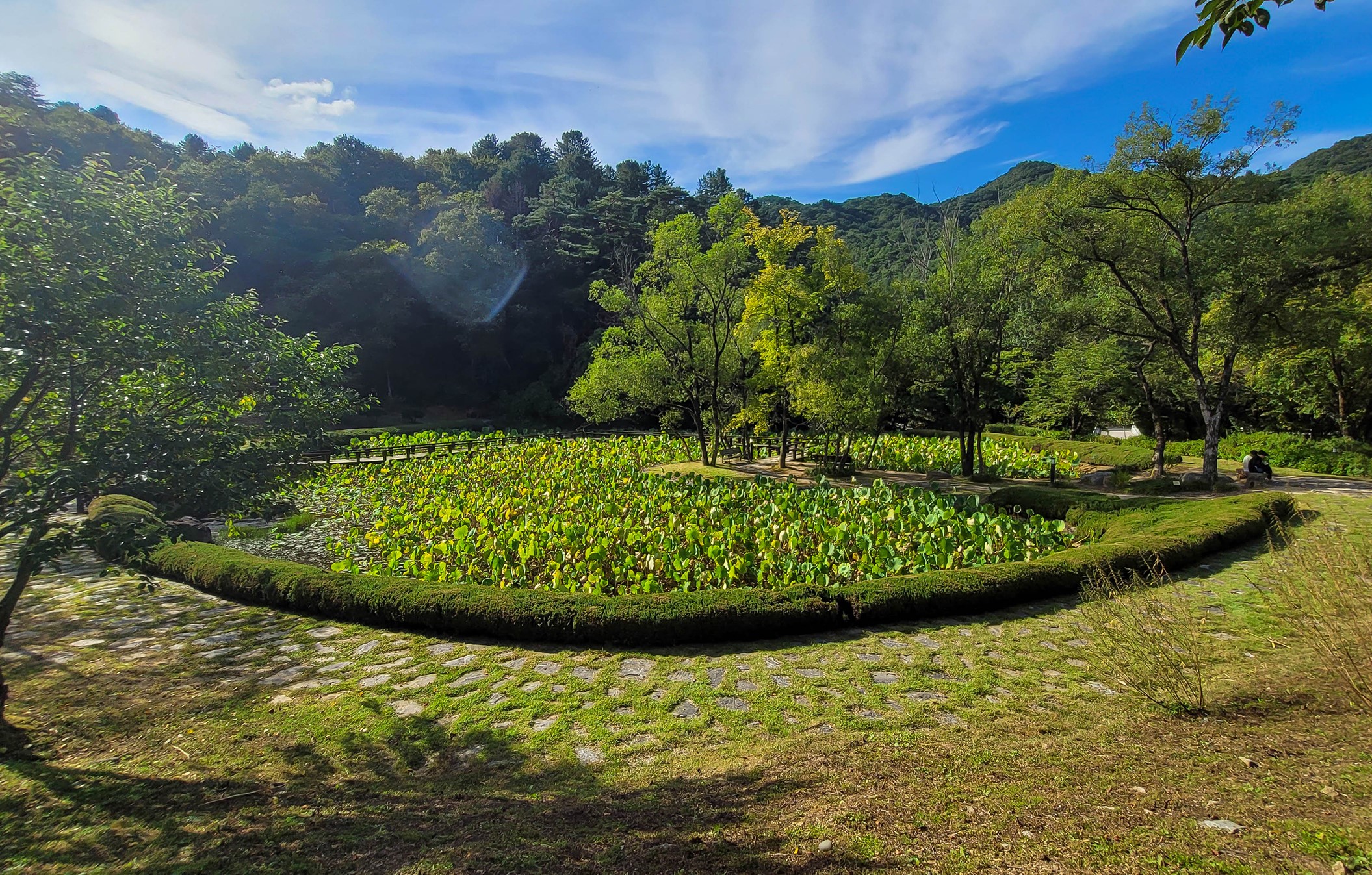 홍천 공작산 수목원(생태숲) 완벽 가이드: 수타사와 함께하는 힐링 산책 여행