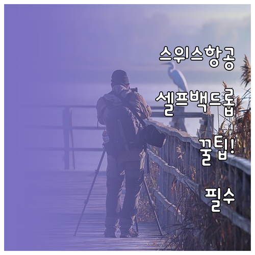 스위스항공 수하물 위탁 셀프백드롭 이..