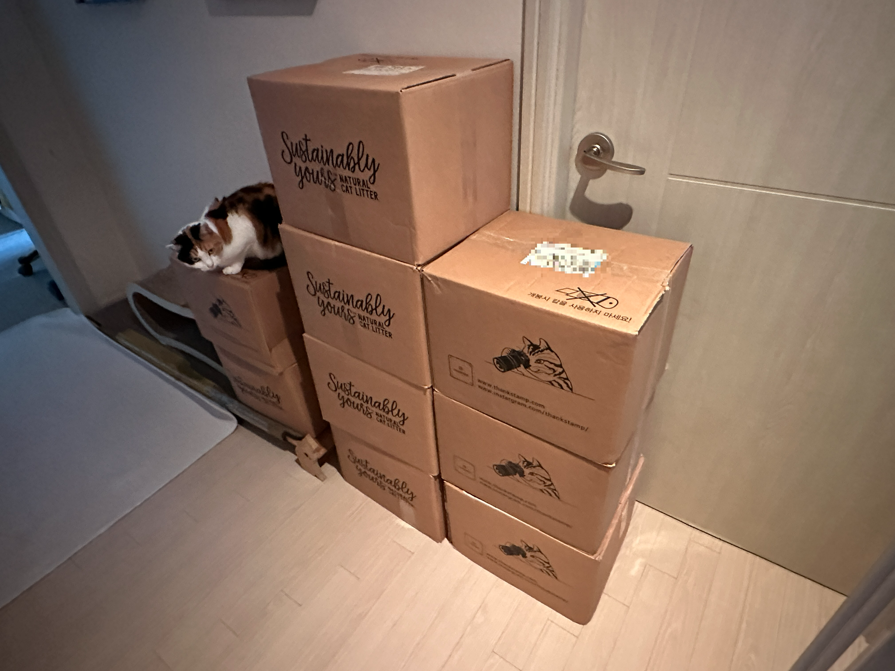 복도거실_작은방_앞_고양이_모래와_요미