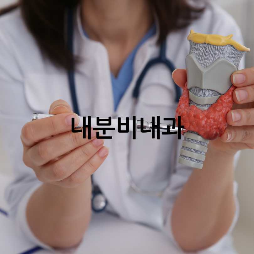 내분비내과 진료과목