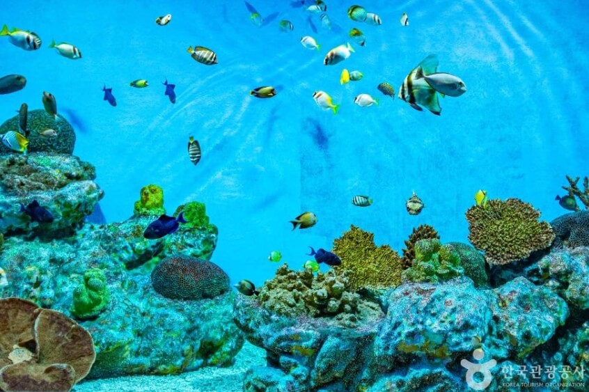 울진 가볼만한곳 베스트 10