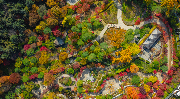 2024 가을 캠핑 준비물