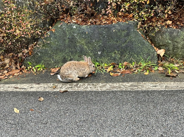 파주 동화힐링캠핑장 카라반 글램핑