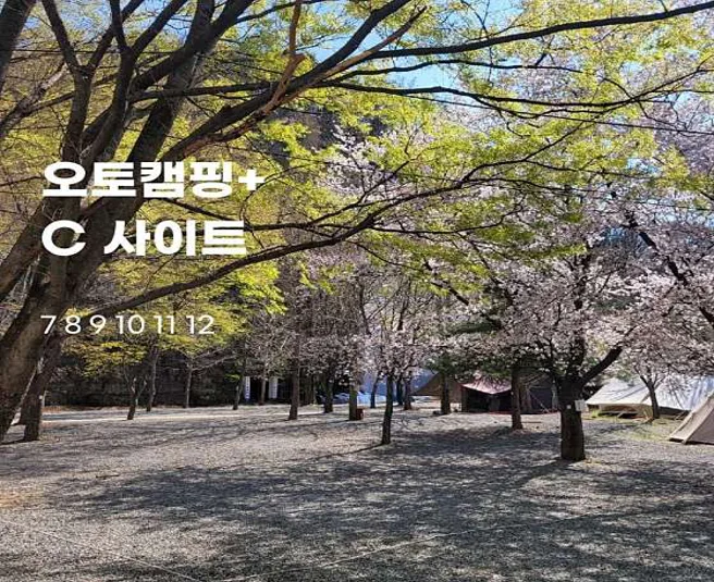 드림랜드오토캠핑장