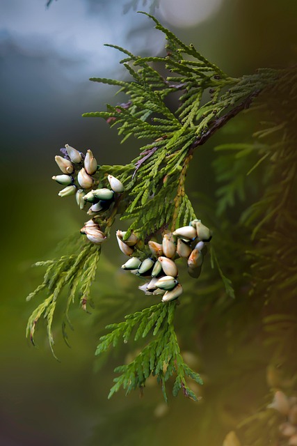 50대 여성 취업을 위한 유망 자격증