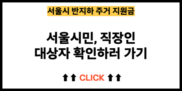 서울시 반지하 주거 지원 확대계획