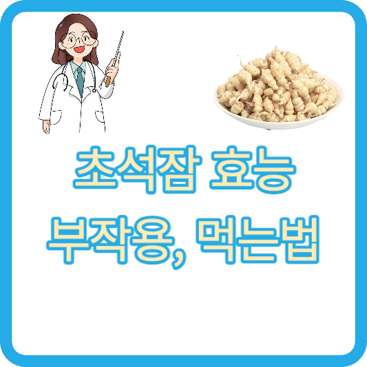 초석잠 효능 부작용 먹는법 초석잠 차