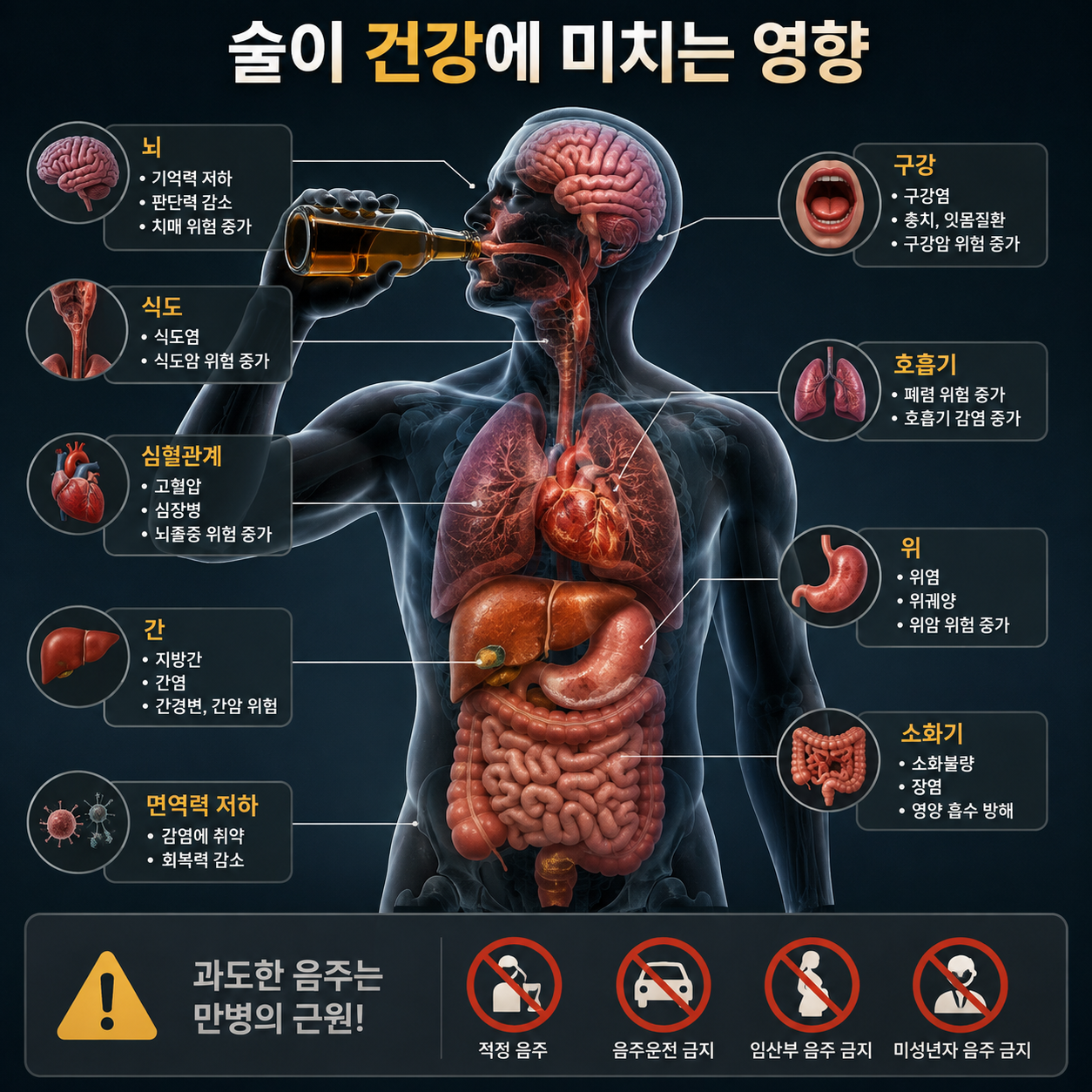 술이 건강에 미치는 영향