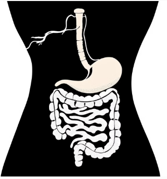 가슴이 답답한 증세