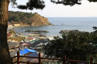 소청도 배편 요금 배시간표 예매 요금_8