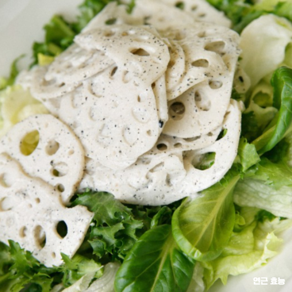 연근 효능│연근 효능과 부작용 알고 드세요!