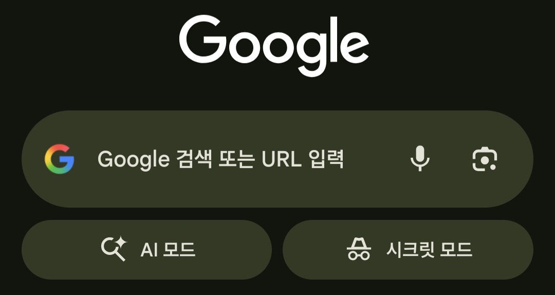 스마트폰 인터넷 앱에서 검색 기록이 남지 않는 비밀 모드 및 시크릿 탭을 실행한 모습