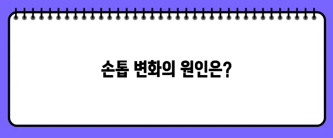 손톱에 세로줄이 생기는 이유
