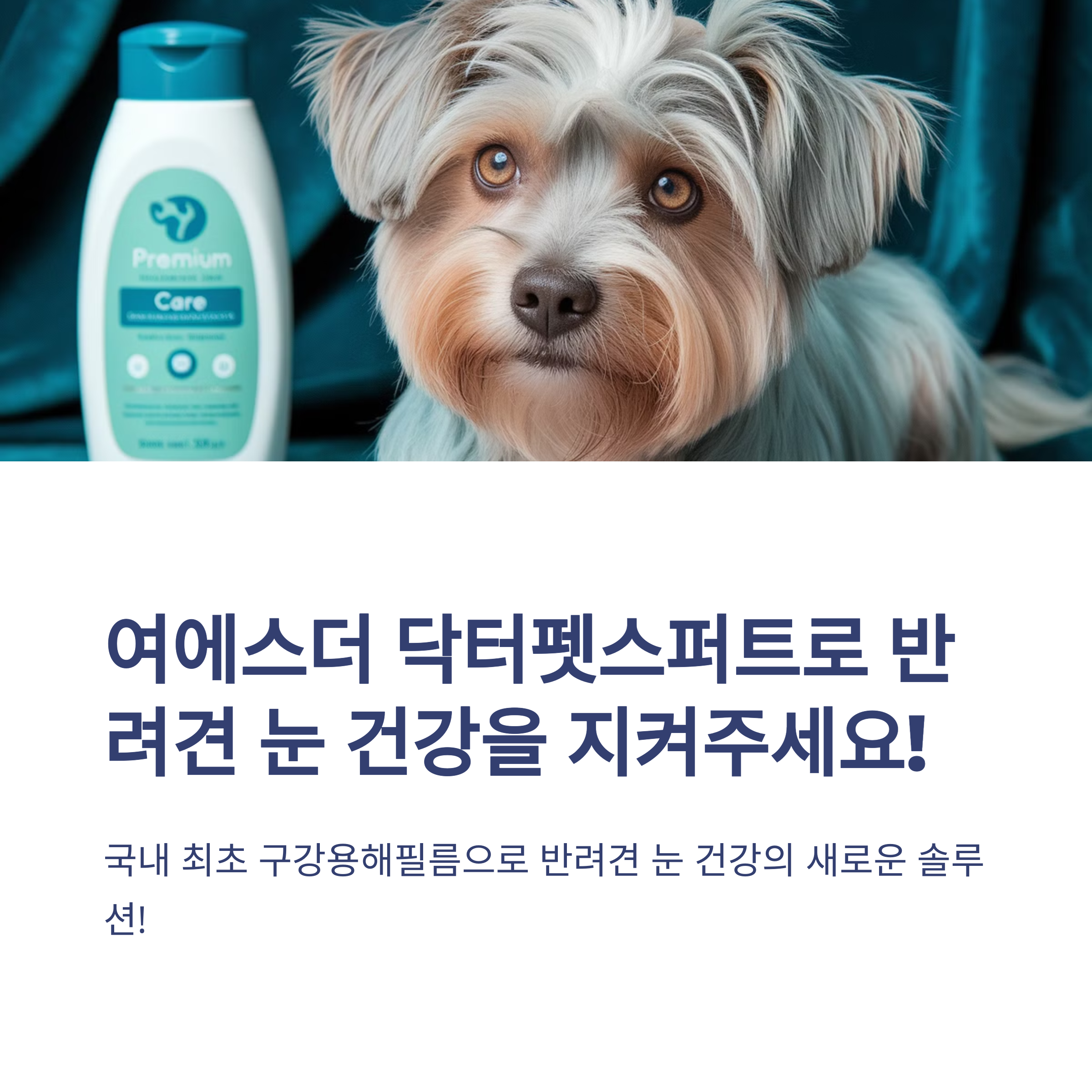 여에스더 반려견 눈 건강엔 닥터펫스퍼트 아이클리어 다이렉트 필름