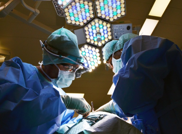 비뇨생식계 의학용어 어근 상세정리