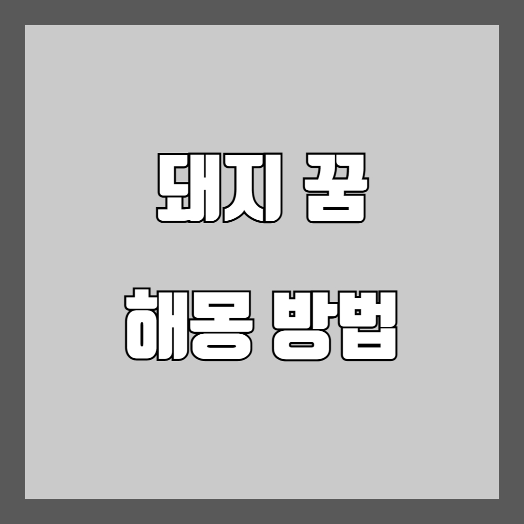 돼지 꿈 해몽 풀이