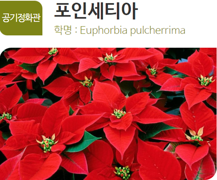 아산 생태곤충원