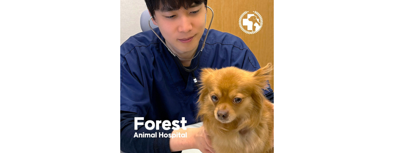 부산 수영구 동물병원