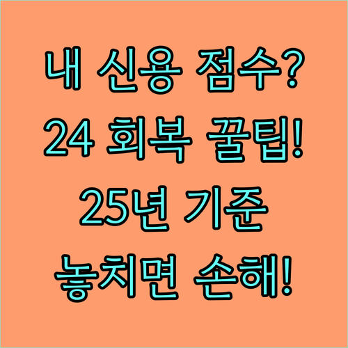 내 신용 점수는? 2024년 신속 회..