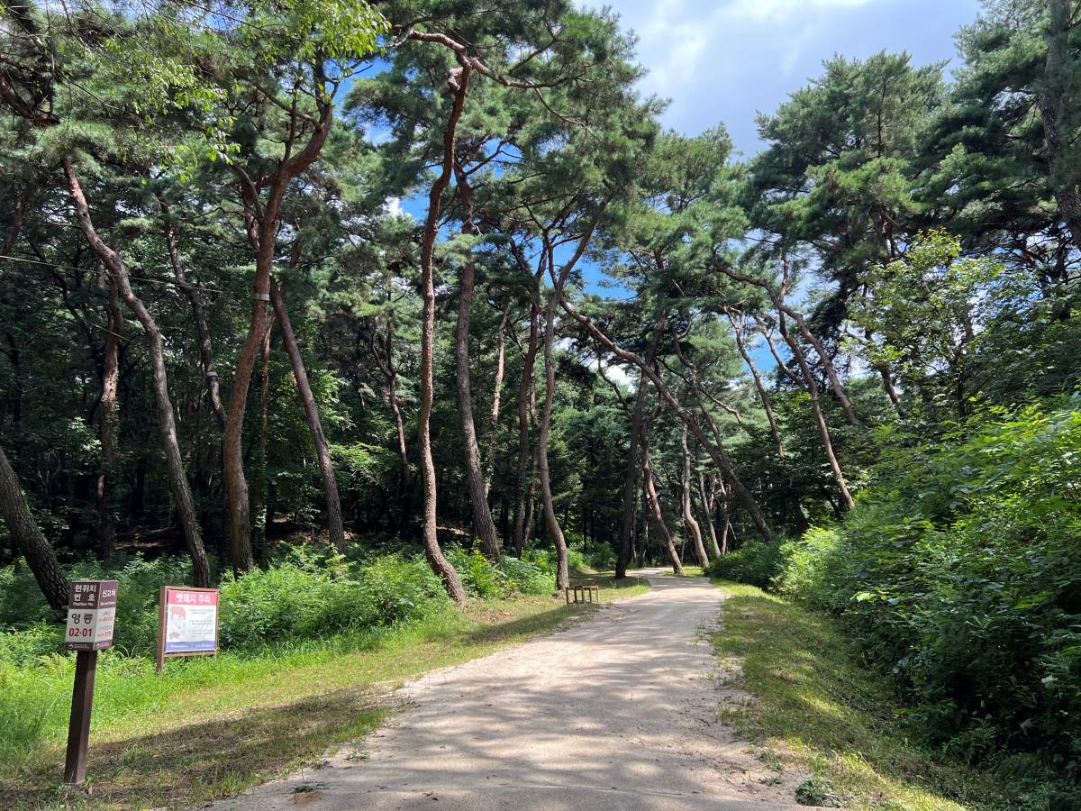 여주 세종대왕릉 산책로
