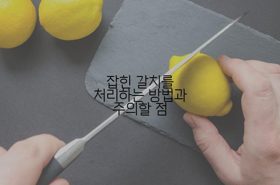 잡힌 갈치를 처리하는 방법과 주의할 점