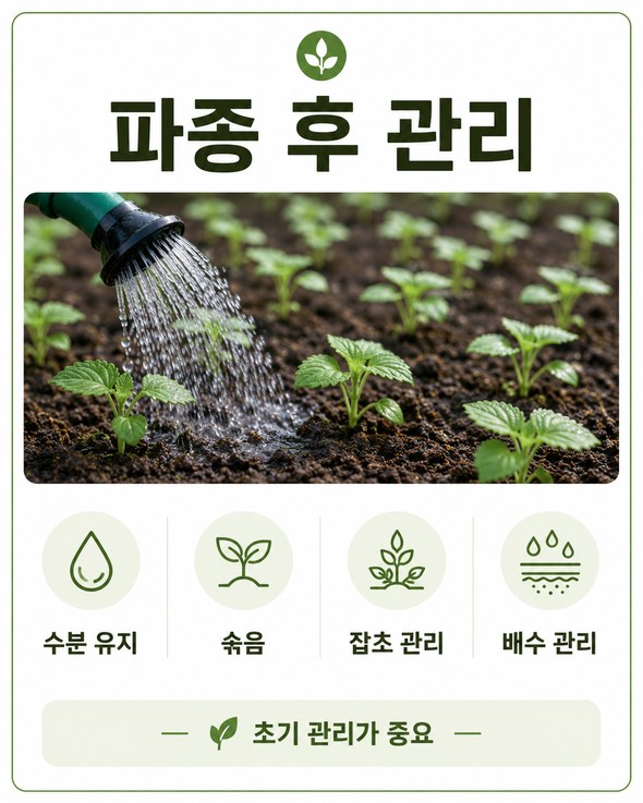 들깨 파종시기
