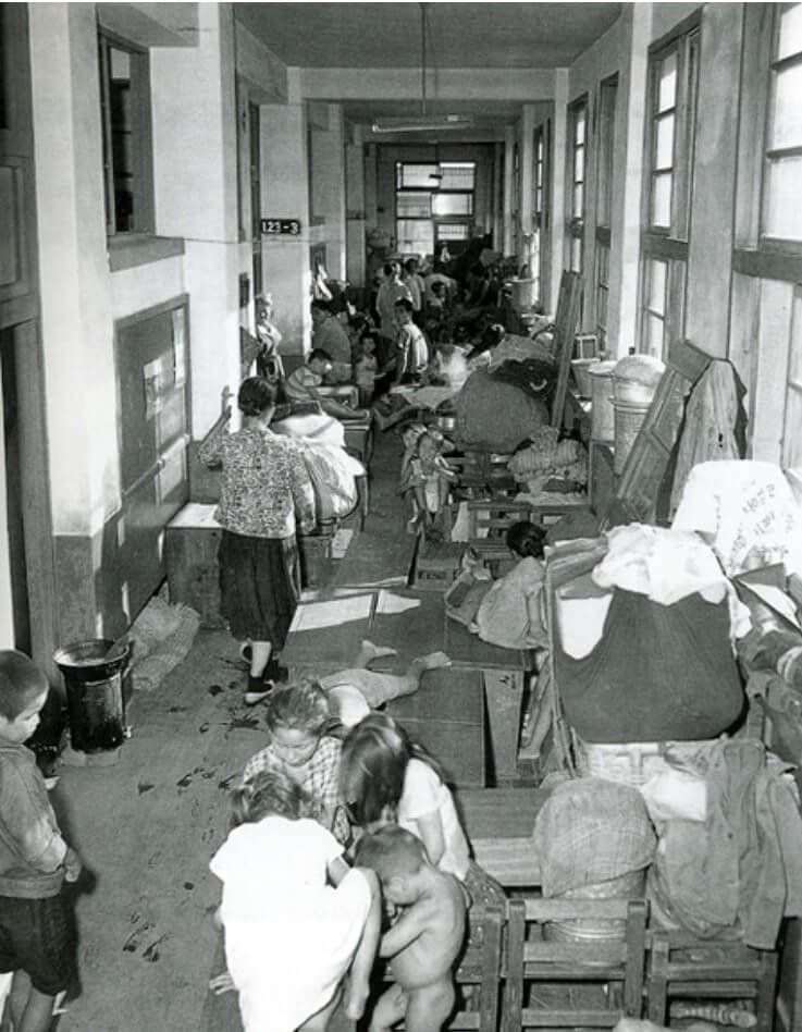 대한민국 태풍사라 피해