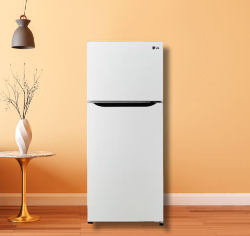 삼성 VS LG 1인 냉장고 비교 관련 사진