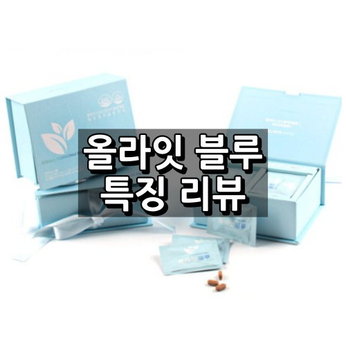 올라잇블루 대표이미지
