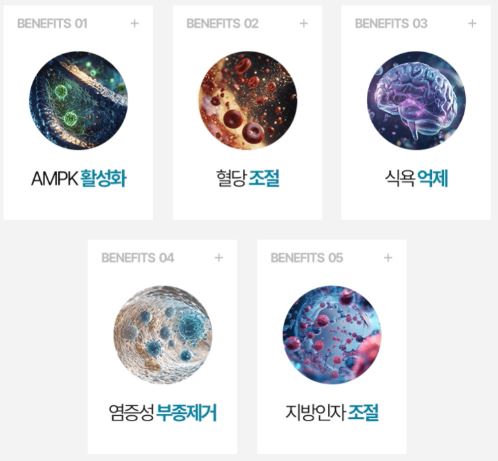 덱소니아정 효과