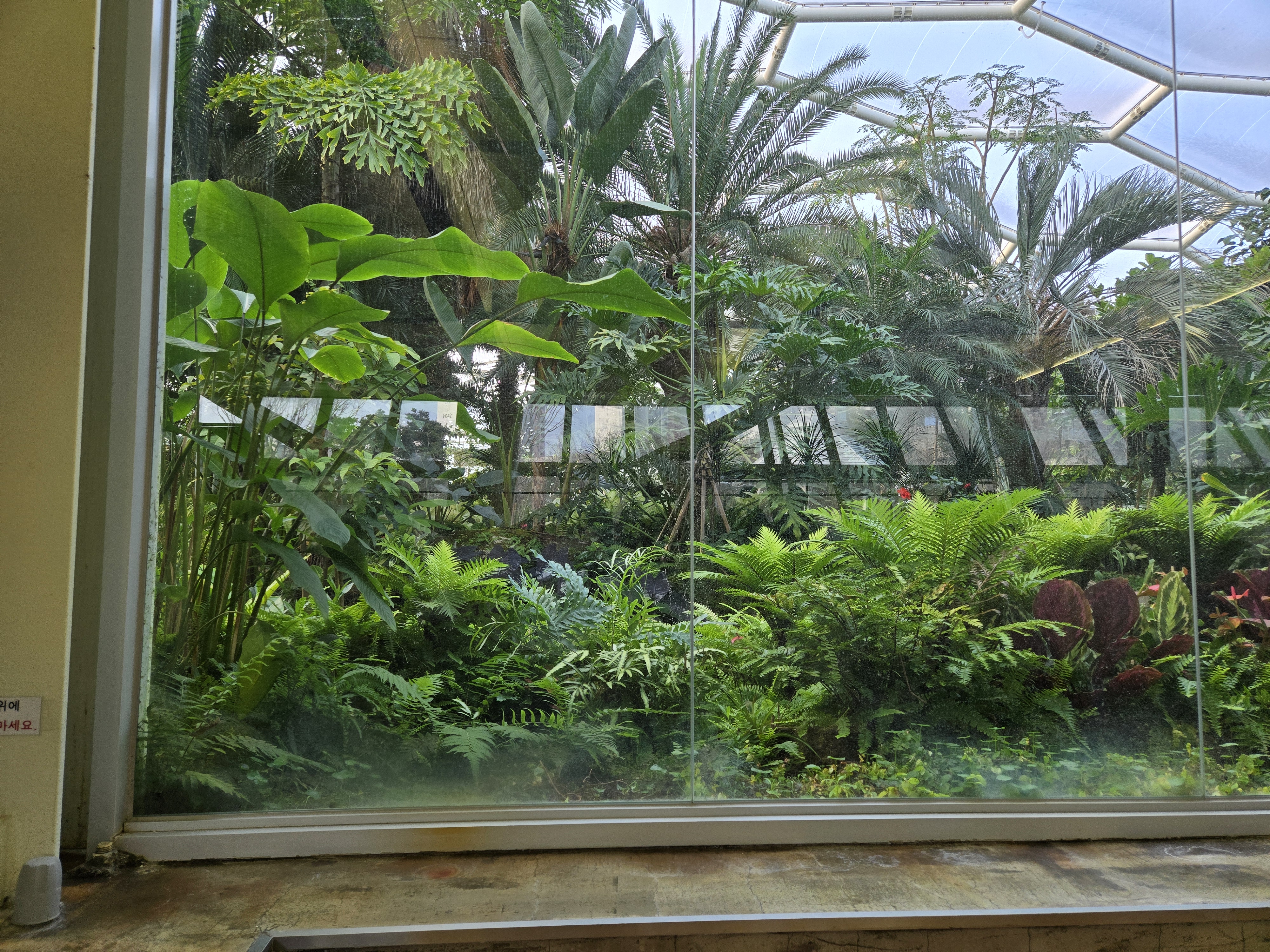 부천수피아식물원카페