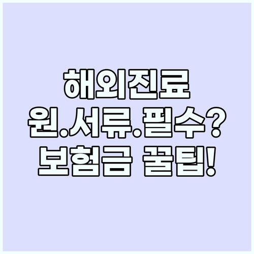 해외여행 중 진료비 보험금 청구 원본..