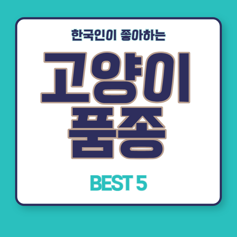 고양이 품종
