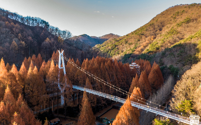 장태산 자연휴양림 야영장