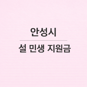 안성시 설 민생지원금