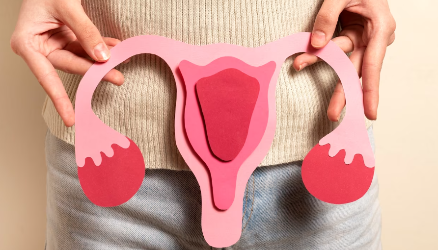 칸디다 질염 잘 알고 치료해요