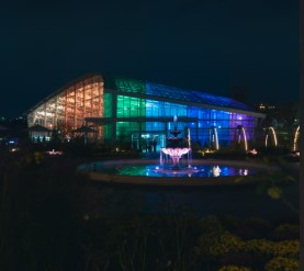 수원 일월·영흥수목원 야간 개장: 체험, 야외공연