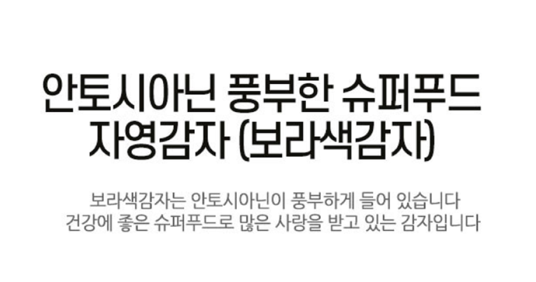 안토시아닌-슈퍼푸드-보라색감자